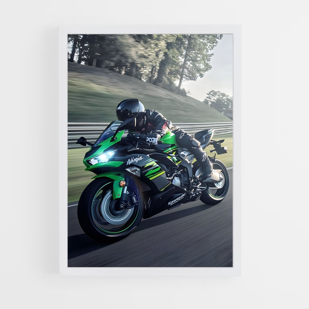 Poster Moto Verdoyante (vue 3)